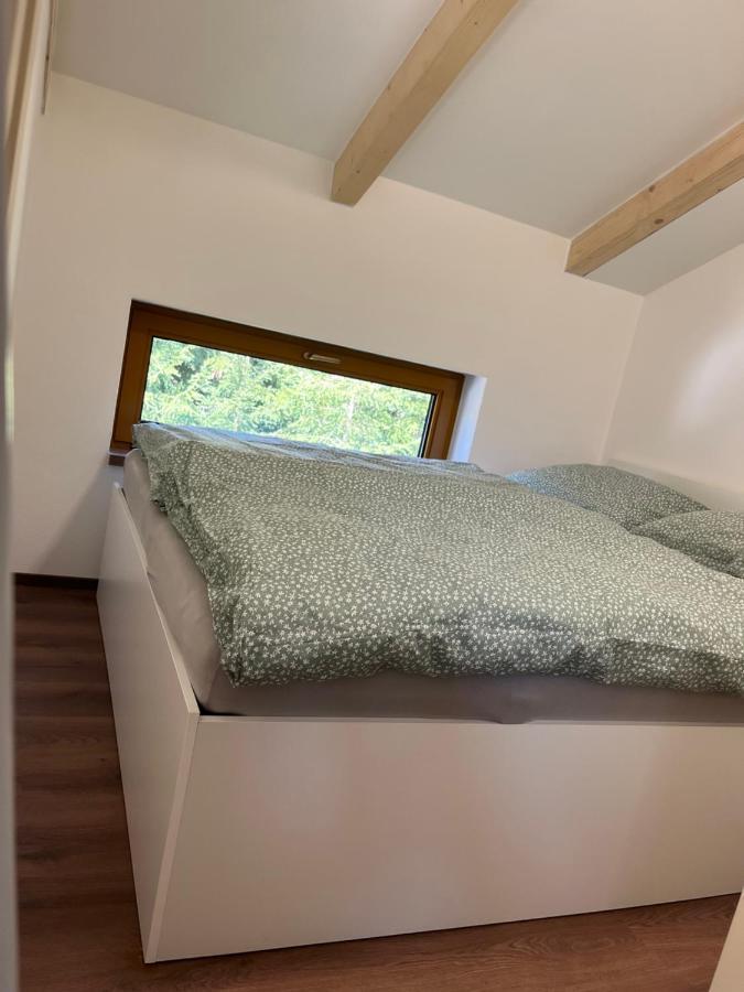 U Kralika, Apartman H, 3 Samostatne Loznice - Mezonet, Vlastni Parkovani, 50 Metru Od Vleku , Vysousece Bot V Lyzarne Dolní Morava エクステリア 写真