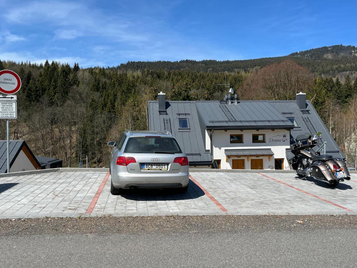 U Kralika, Apartman H, 3 Samostatne Loznice - Mezonet, Vlastni Parkovani, 50 Metru Od Vleku , Vysousece Bot V Lyzarne Dolní Morava エクステリア 写真